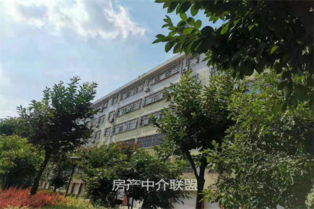 城西地质家园3室2厅1卫110m2简单装修